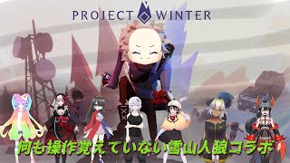 【Project Winterコラボ】私は何も見てないし覚えていない【雪山人狼】