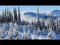 Bluebird Powder 7th Heaven 2024