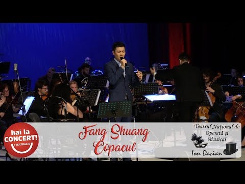 Fang Shuang - Copacul