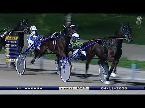 Aversa trotto 4 Novembre 2020 - 7° Corsa