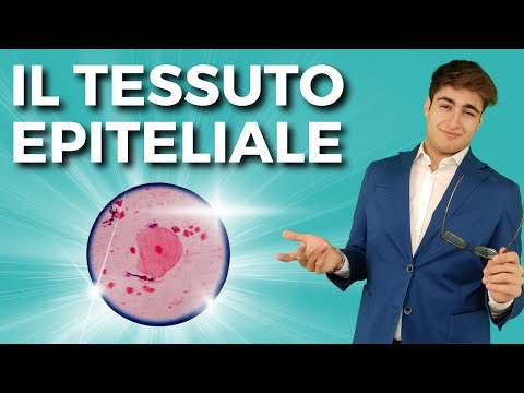 Epithelial tissue in just over 4 minutes | Easy Biology