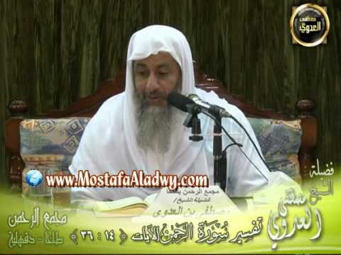  تفسير سورة الرحمن (2) من الآية الثالثة عشر إلى الآية السادسة والثلاثين 