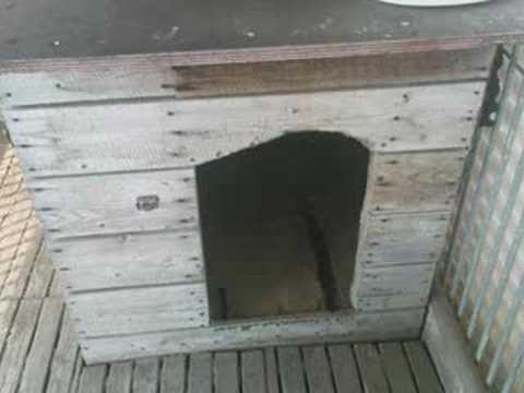 Erinnerung an meinen besten Freund