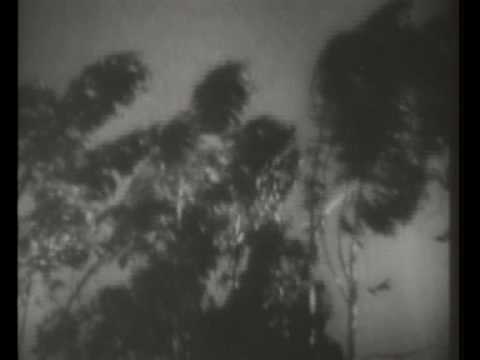 Bulbajar - The deep one