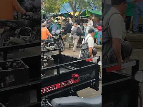 la cosecha ya pasó en concordia todavía queda para lo más frío