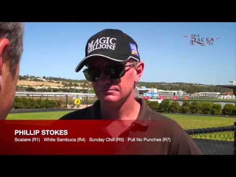 The Races TV | 7 February 2014 | Phillip Stokes | Naracoorte Cup Preview