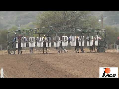 CHICHO HIPODROMO LA HECHICERA CRUZ DEL EJE 24 7 2022