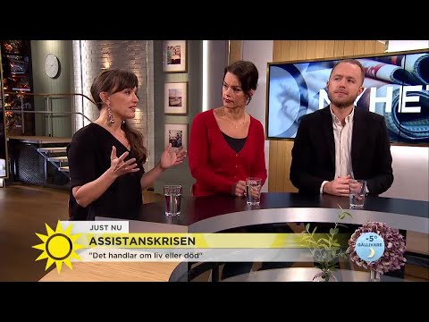 Nyhetspanelen om assistanskrisen: "Tänk så mycket pengar som går åt fel saker" - Nyhetsmor