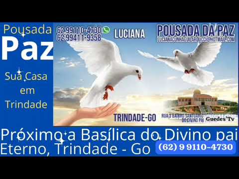 Programa proteção veicular