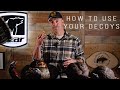 Turkey Decoy Setup What Decoys To Use How To Use Your Decoys Our Set Ups And Decoys