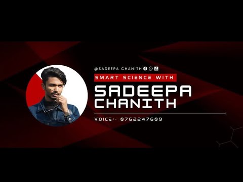 පදාර්ථයේ ව්‍යුහය (Part 1)