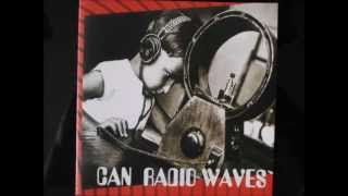 can, turtles have short legs