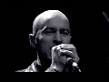 THE THE - DECEMBER SUNLIGHT (cried out)