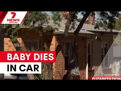 Woman charged after baby dies in car | 7NEWS