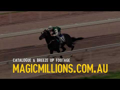2017 Gold Coast 2YOs in Training Sale TVC