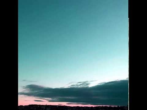 PARKMAN / WARP - Пораснал