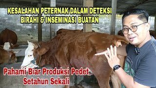 Download lagu Kesalahan Peternak dalam Deteksi Birahi dan Inseminasi Buatan. mp3