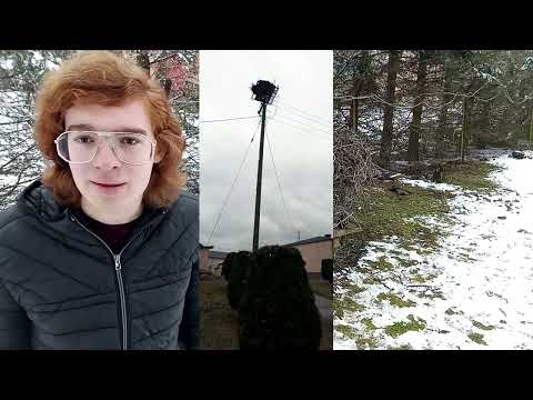 Bocianie sprawy: Oglądamy bocianie gniazdo