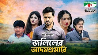 আদম শুমারির ভিডিও