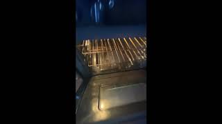 What to do when there’s a mouse in your oven!