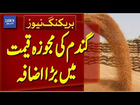 Major Increase Proposed in Wheat Support Price | Breaking News | Dawn News