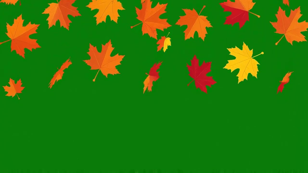 Falling Leaves Green Screen | Realistic Autumn Effect Overlay
