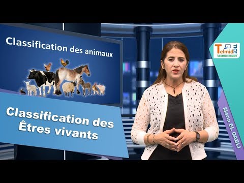 Classification of living things