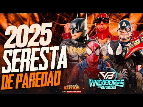 SERESTÃO DOS VINGADORES DO BREGA 2025