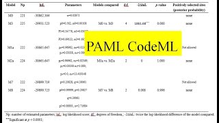 PAML Codeml # phylogenetic analyses of DNA using maximum likelihood #Newick tree #Positive selection