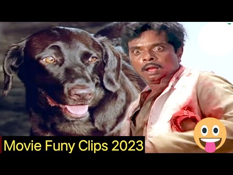 Moti Kills Sadashiv - Climax Scene | Teri Meherbaniyan Movie Scene | Popular Hindi Movie funy clips