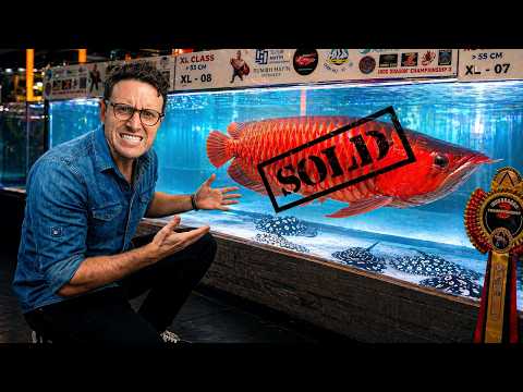Indonesia Is Selling $100,000 Fish to China's Ultra Rich