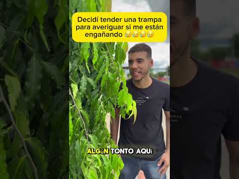 Decidí tender una trampa para averiguar si me están engañando