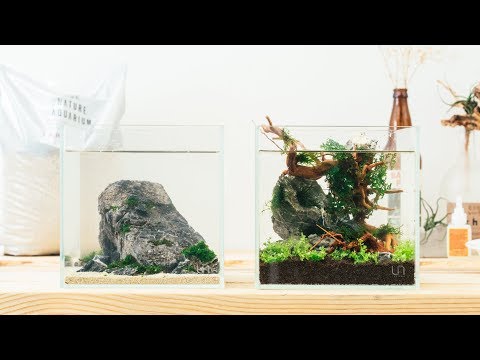 Dual Nano Cube 2 Gallon Planted Tank Office Setup