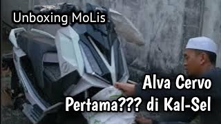 Unboxing MoLis ALVA CERVO