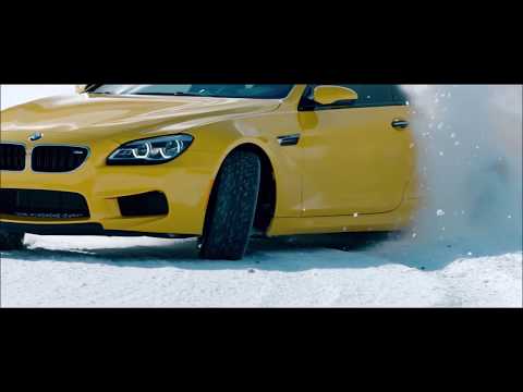 Ship Wrek & Zookeepers - Ark [NCS Release] /Joyride Tundra