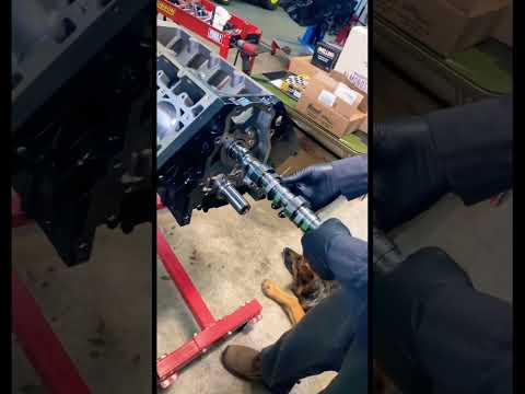 Custom Comp Cam Install #bigpower #compcam #install #lsx #goated #gto