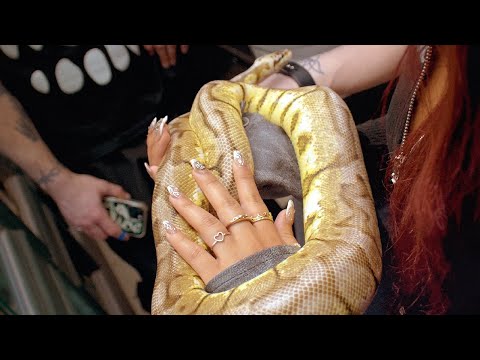 TAWPO - "ROGER RABBIT" (Official Music Video) (Dir. By @pierce.suarez)