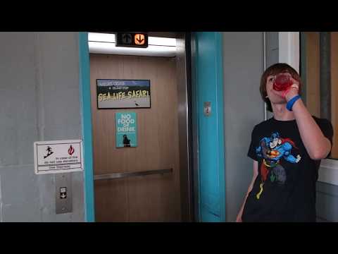 2 COPs! TINY Dover Impulse Hydraulic Elevator at the Clearwater Marine Aquarium in Clearwater, FL