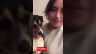 Cute And Funny Dog Video #Shorts #29