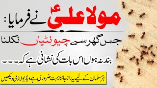 Jis Ghar sy Chuntian Niklna Bnd na Ho to Samjhein | Hazrat Ali Says If Ants Keep Coming Out Of House