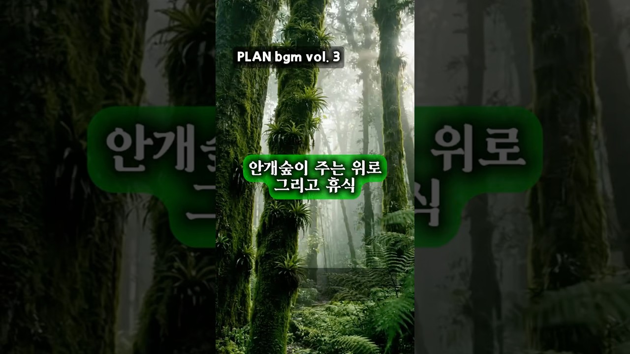 🎧 안개 숲이 건네는 일요일의 위로 (Plan BGM Vol.3)
