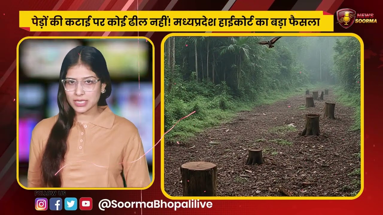 ऑक्सीजन का जिम्मेदार कौन?’ सिंगरौली केस में हाईकोर्ट की तीखी टिप्पणी