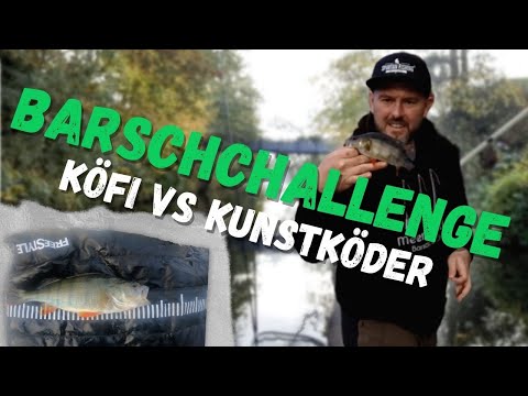 Dieser KÖDER ist der WAHNSINN - Barschangeln im Herbst mit Köderfisch und Kunstködern im See