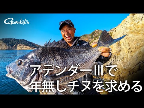 【G WORLD 】#39 アテンダーIIIのチヌ最適号数で年無しチヌを求める！