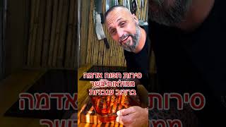סירות תפוח אדמה ממולאות בשר ברוטב עגבניות באהבה לכולם תומר תומס חבר שלכם 💚