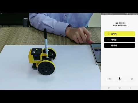PINGPONG Robot Voice coding