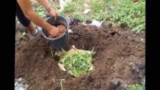 Membuat Kompos dari Sampah Bagi Rumah Tangga yang Memiliki Lahan