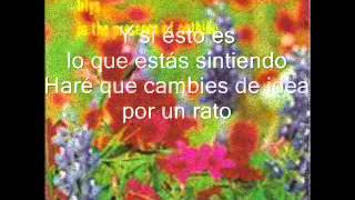 Lilys - Claire Hates Me [subtitulada]