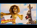 Marty Alex Marty Alex Madagascar Mini Moments
