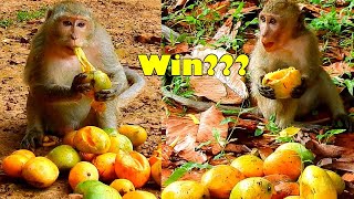 Fruit Eater Music Video